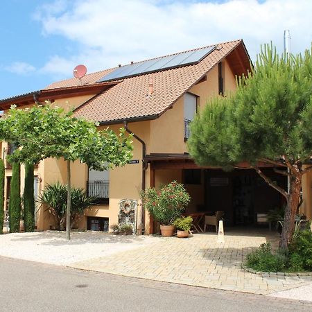 Pension Vanii, Apartments Rust Zewnętrze zdjęcie